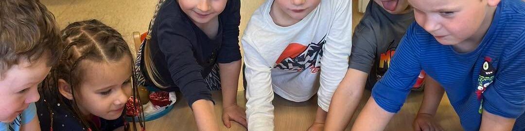 Ovoce a zelenina všemi smysly